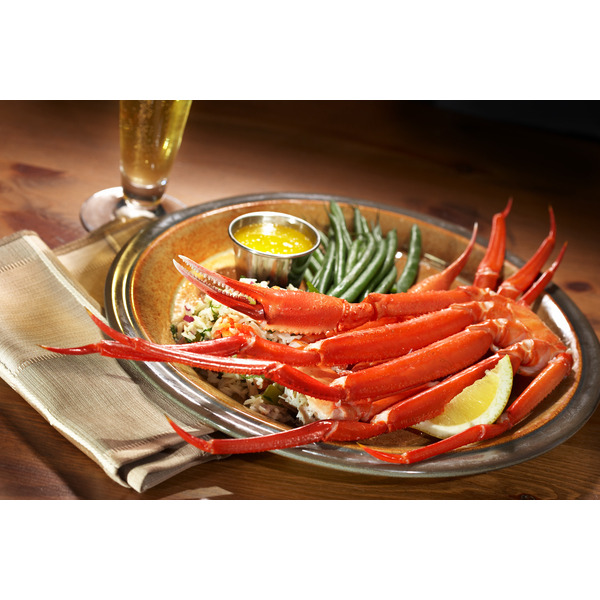 Araignée cuite 3000000108444 