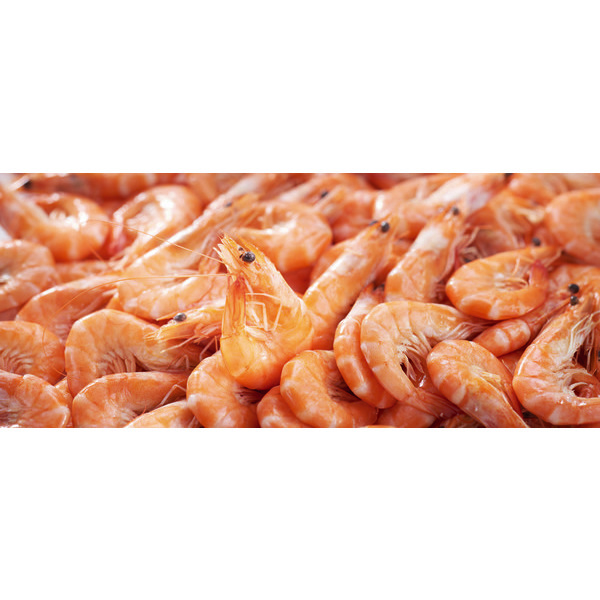 Crevette rose cuite