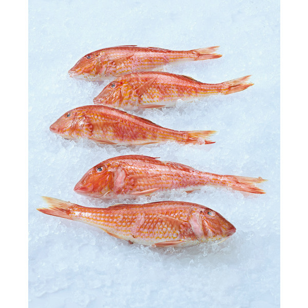  Rouget Barbet code EAN 3000000127605 