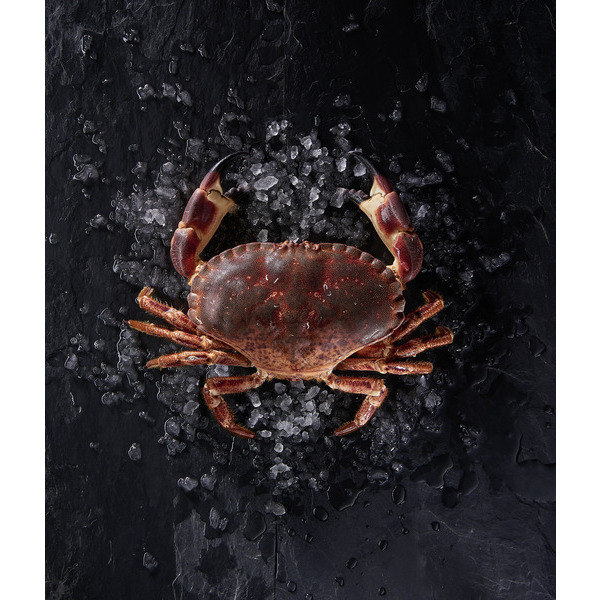  Tourteau cuit code EAN 3000000127940 