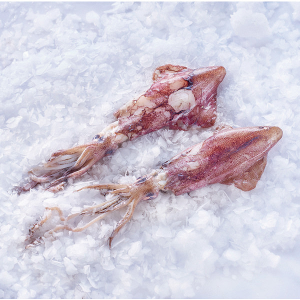  Encornet code EAN 3000000128138 