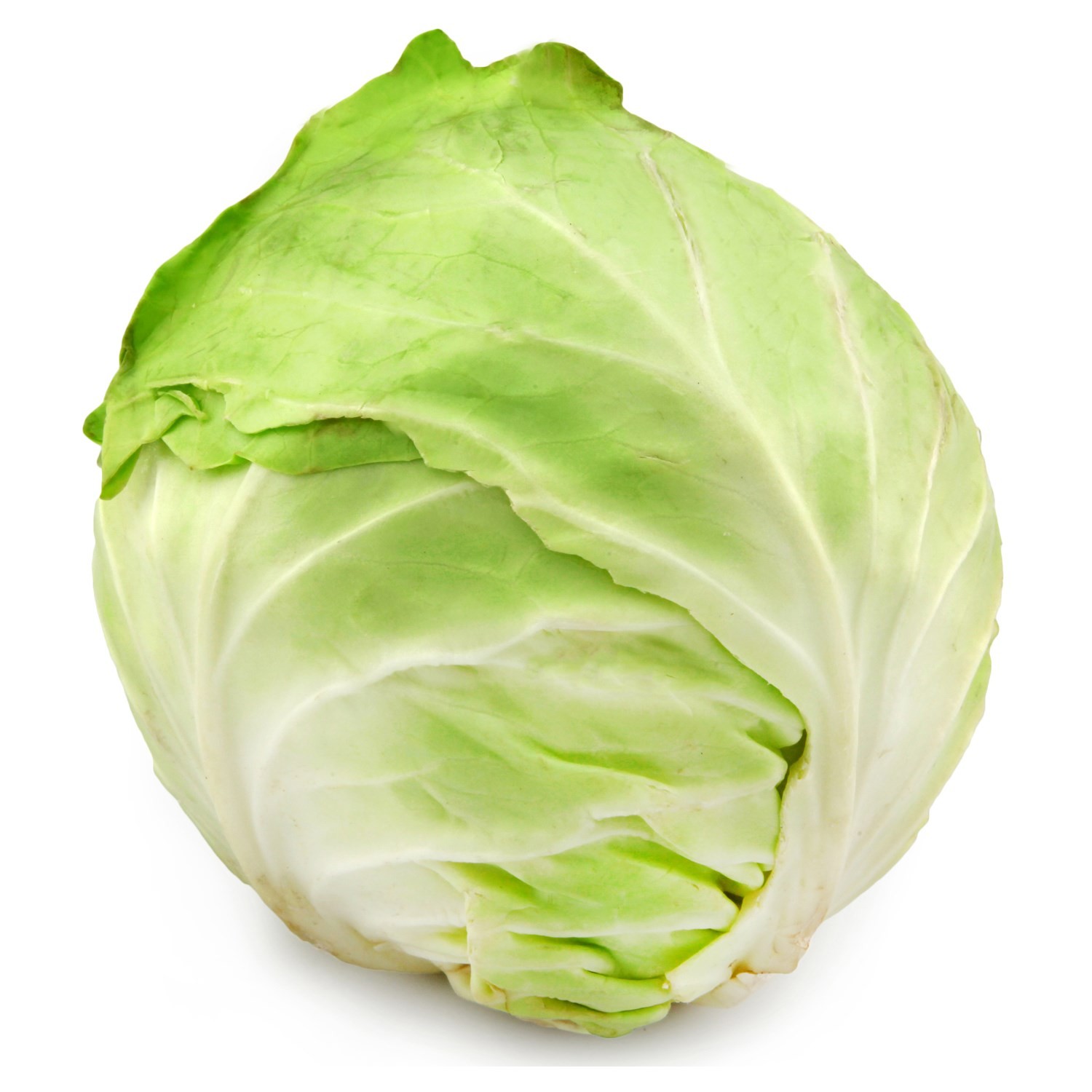 Chou blanc  3000001038504 (3000001038504)