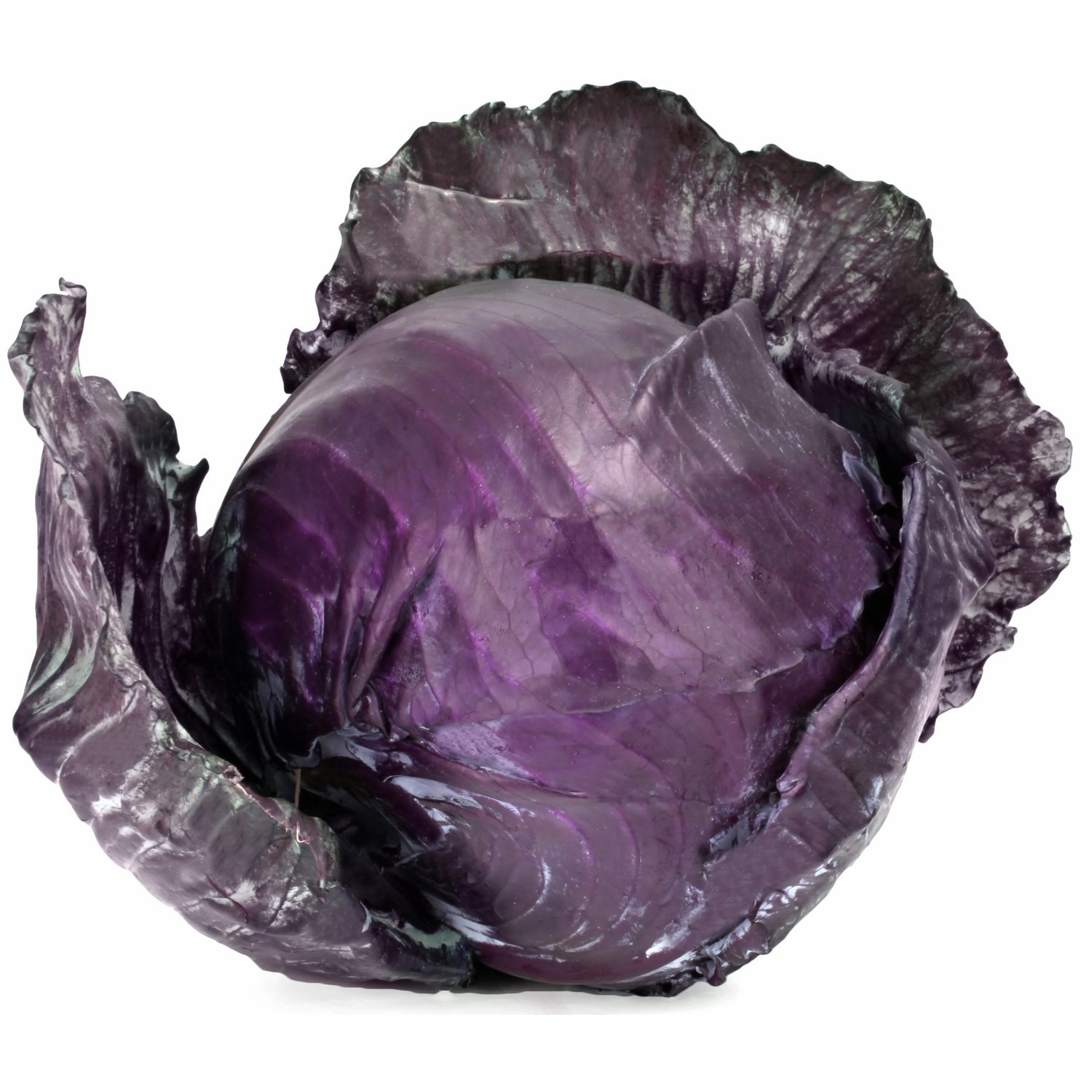 Image of 3000001038511