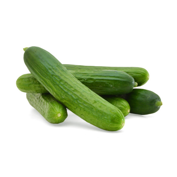  Concombre Bio code EAN 3000001041832 