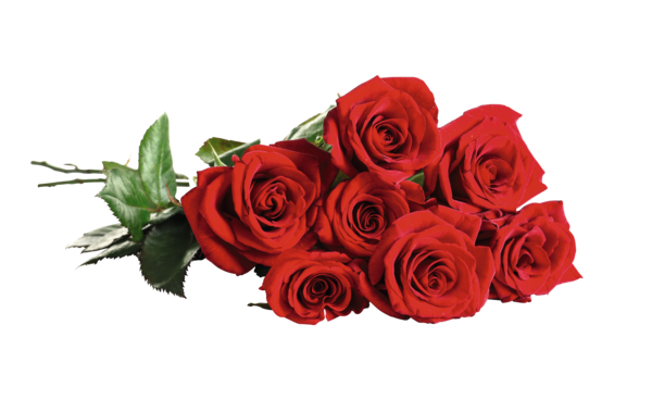  Bouquet De 7 Roses Très Gros Boutons code EAN 3000001501381 