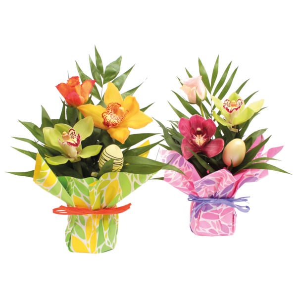  Composition Daisy  code EAN 3000004504556 