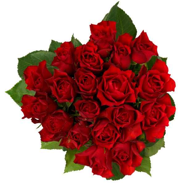  Bouquet De 18 Roses  code EAN 3000005235145 