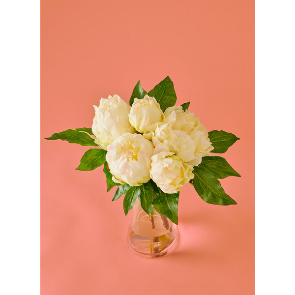  Bouquet De 5 Pivoines code EAN 3000010500931 