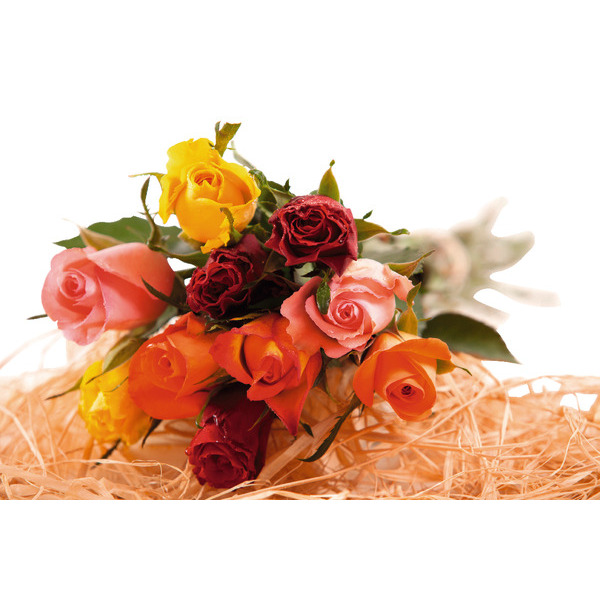  Bouquet De 10 Roses Arlequin + Pic Bonnes Vacances  code EAN 3000010501419 