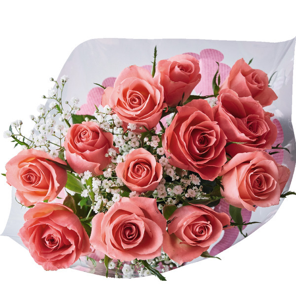  Bouquet De 12 Roses + Gypsophile code EAN 3000013501256 