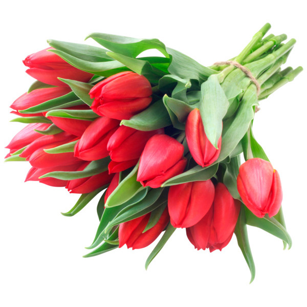  Bouquet De 14 Tulipes  code EAN 3000020501065 