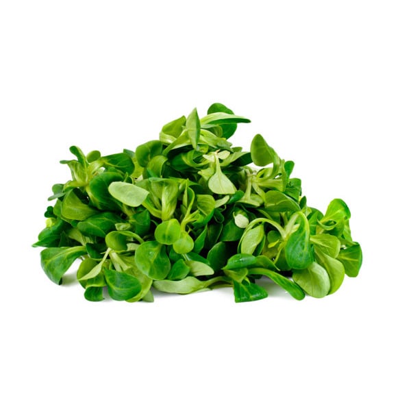  Mâche Auchan code EAN 3000045028851 