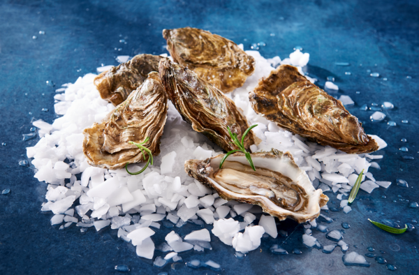 SANS MARQUE Huîtres Creuses Spéciales De Normandie Igp code EAN 3000045136822 