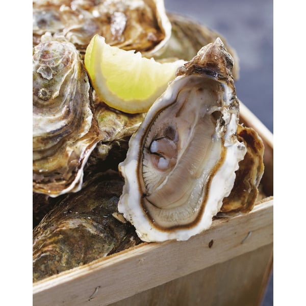  Huîtres Fines De Vendée code EAN 3000046135794 