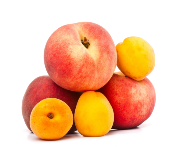  Abricots, Pêches Ou Nectarines Mûrs À Point code EAN 3000050034670 