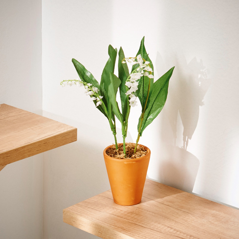  MUGUET 3 GRIFFES  code EAN 3000100507185 