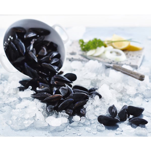  Moules De Bouchot Spécialité Traditionnelle Garantie code EAN 3000121311785 