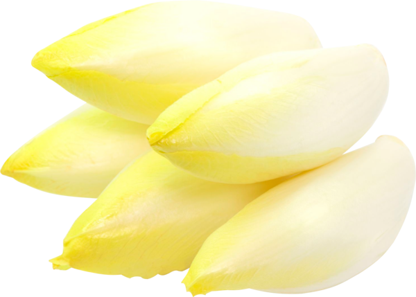 SANS MARQUE Endives code EAN 3000124025931 