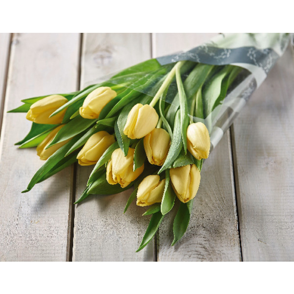  Bouquet De 10 Tulipes  code EAN 3000501051904 