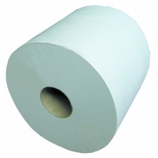 Global Hygiène 2 Bobines OUATE D'ESSUYAGE type industriel 2 plis-1000 fts 24x30cm 2x18gr/m2-G905LSM code EAN 3005340179277 