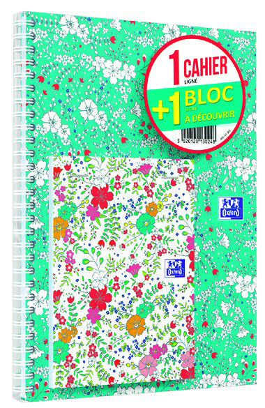 LOT 1 CAHIER ET 1 BLOC NOTES