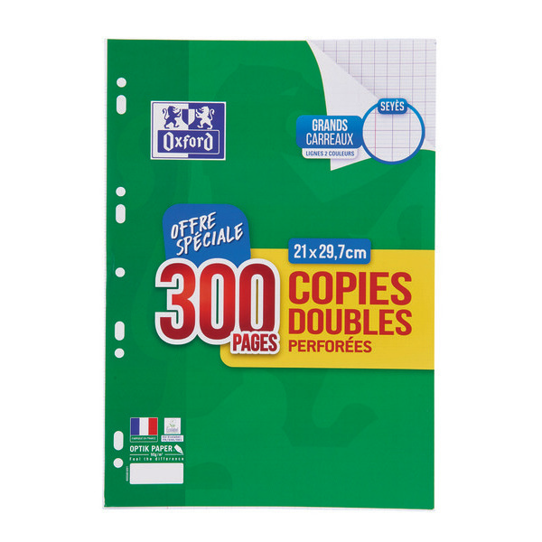 Lot de 300 copies doubles 21 x 29,7 cm
