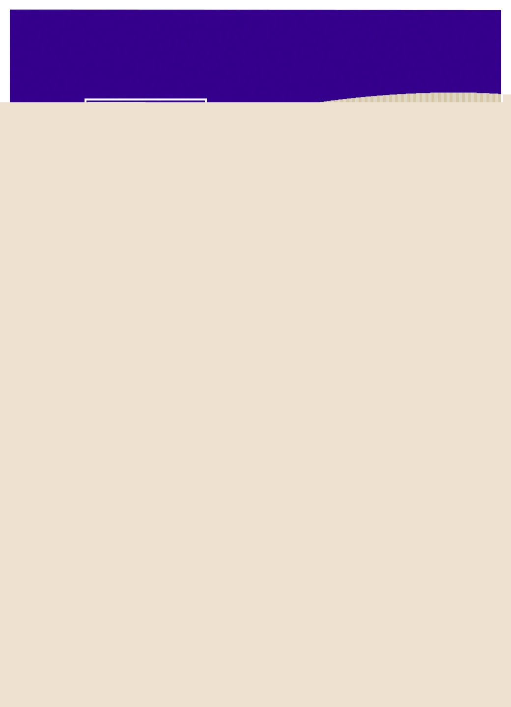 25 pochettes kraft 16,2 x 22,9 cm Oxford