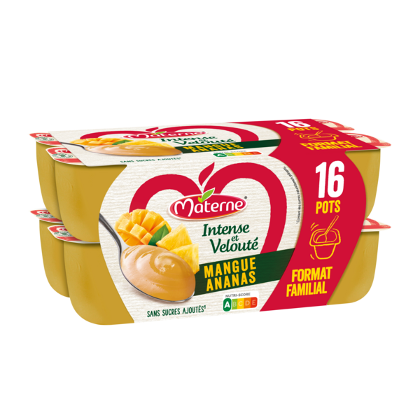 MATERNE Dessert fruitier "Format familial" code EAN 3021760291696 