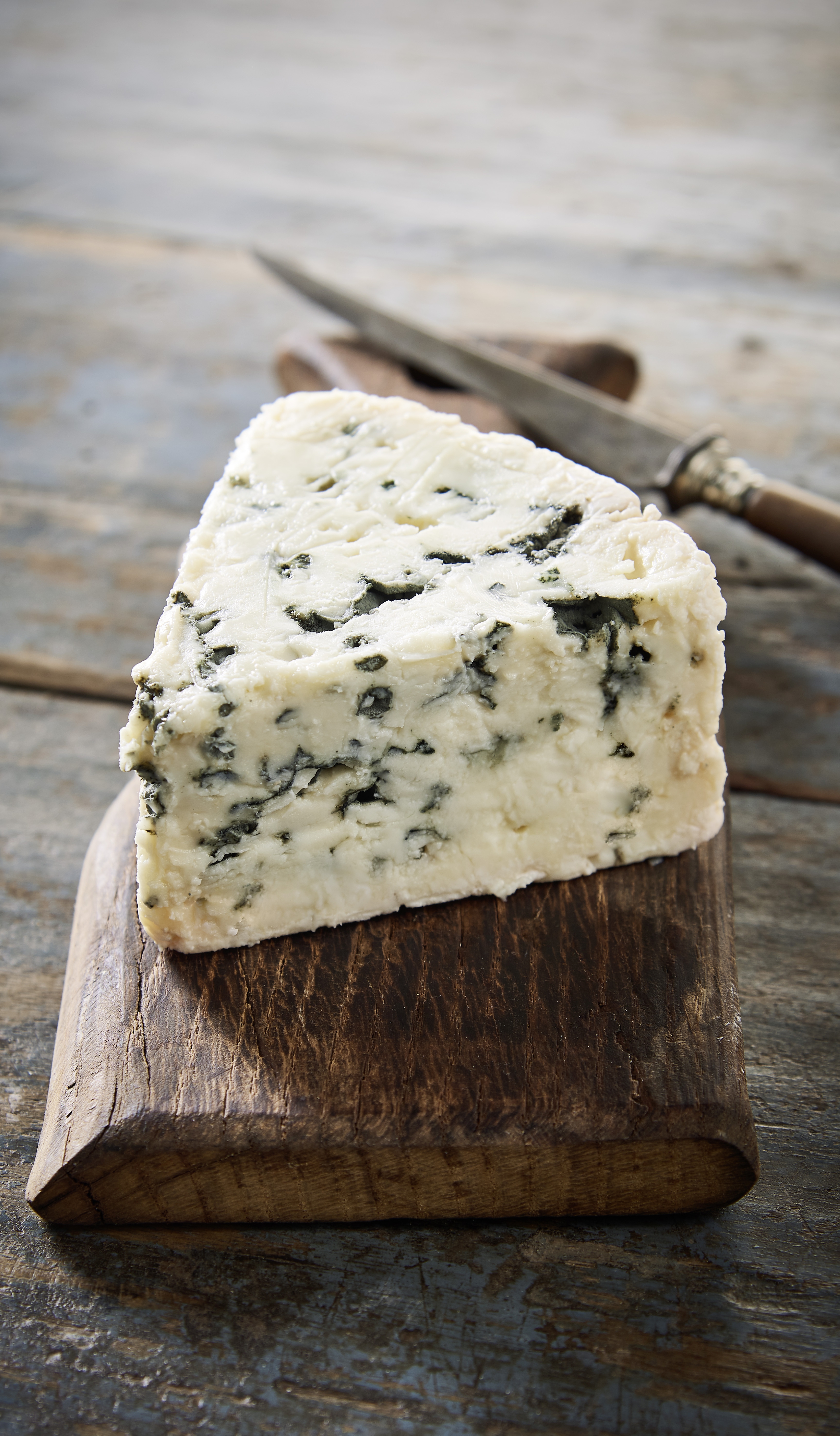 Roquefort bio A.O.P. Société
