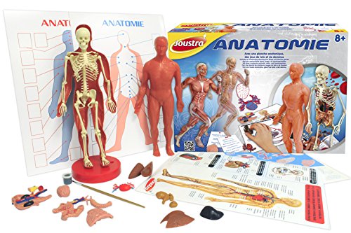 - 47001 - jeu éducatif et scientifique - jeu sc...