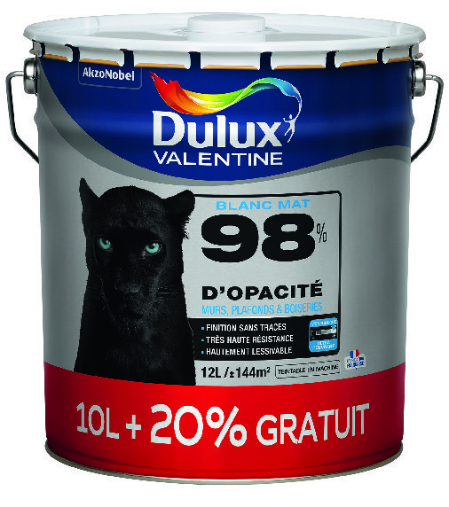 Peinture murs plafonds