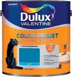  PEINTURE MURS ET BOISERIES COLOR RESIST code EAN 3031520190381 