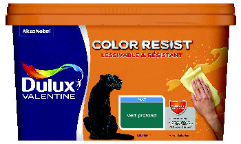  PEINTURE MURS ET BOISERIES(1) “COLOR RESIST” code EAN 3031520240178 