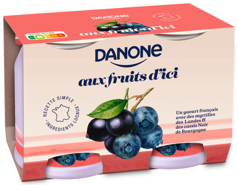 YAOURT FRUITS D'ICI MYRTILLES DES LANDES ET CAS...