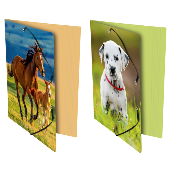 Chemise à élastiques Animaux