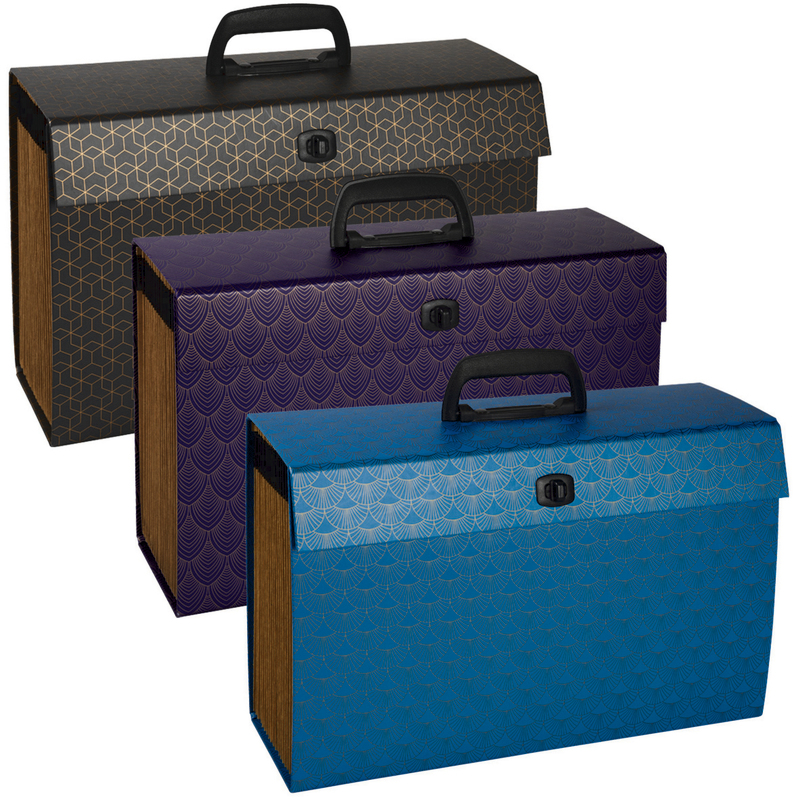 TRIEUR FAMILIAL 20 COMPARTIMENTS EXACOMPTA