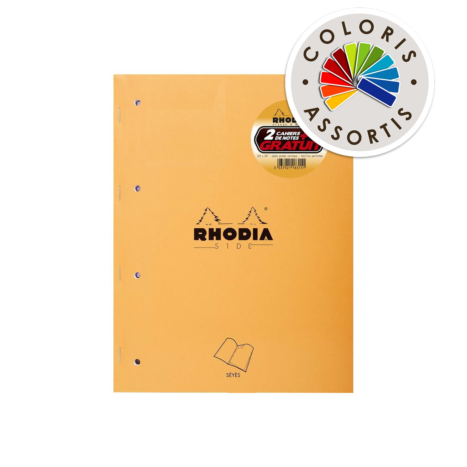 Cahier de notes 160 pages grands carreaux 22,3x...