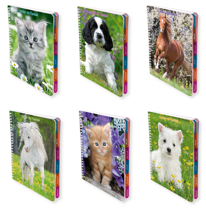 CLAIREFONTAINE CAHIER DE TEXTE 17X22 CM CLAIREFONTAINE code EAN 3037923524891 