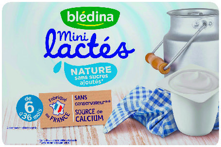  DESSERT LACTÉ POUR ENFANT MINI LACTÉS “BLÉDINA”(2) code EAN 3041091222022 