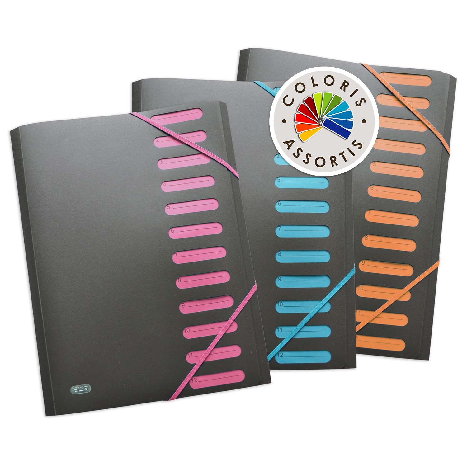 ELBA Trieur Students 12 pochettes 21x29,7cm ELBA code EAN 3045050056130 