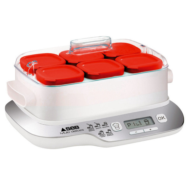 YG660100 Yaourtière