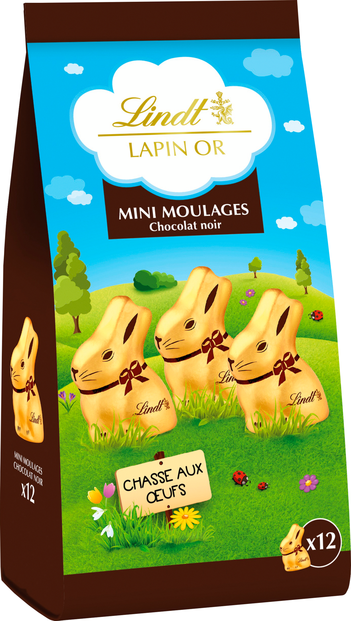MINI MOULAGES AU CHOCOLAT