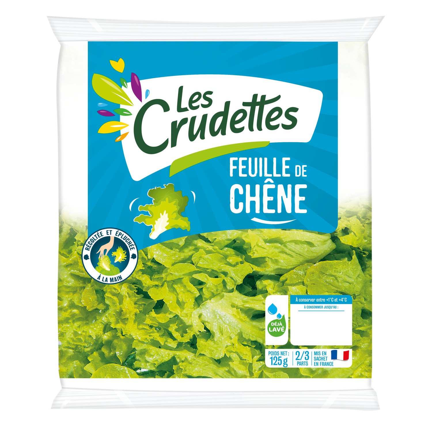 Salade feuille de chêne LES CRUDETTES