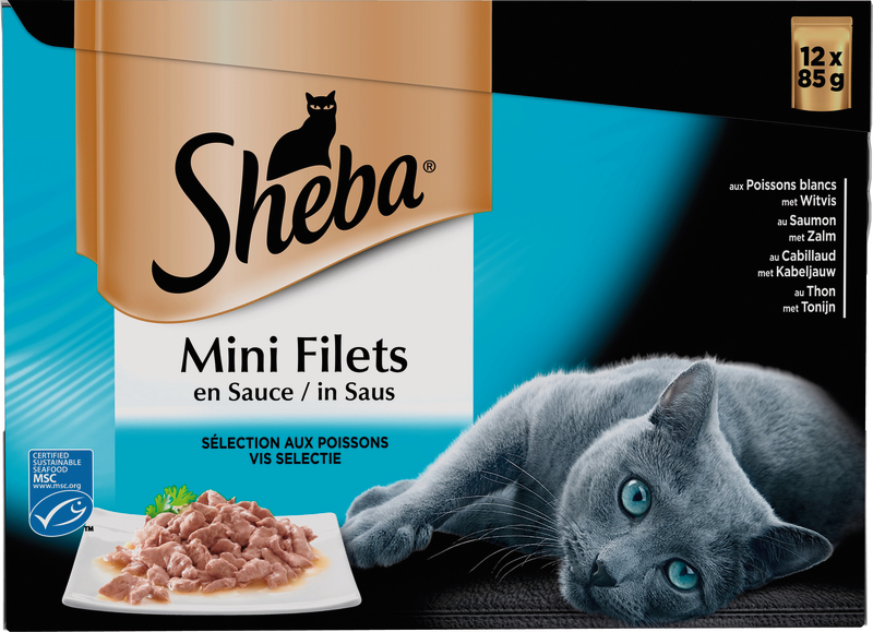 MINI FILETS SACHETS FRAÎCHEUR SÉLECTION POISSON...