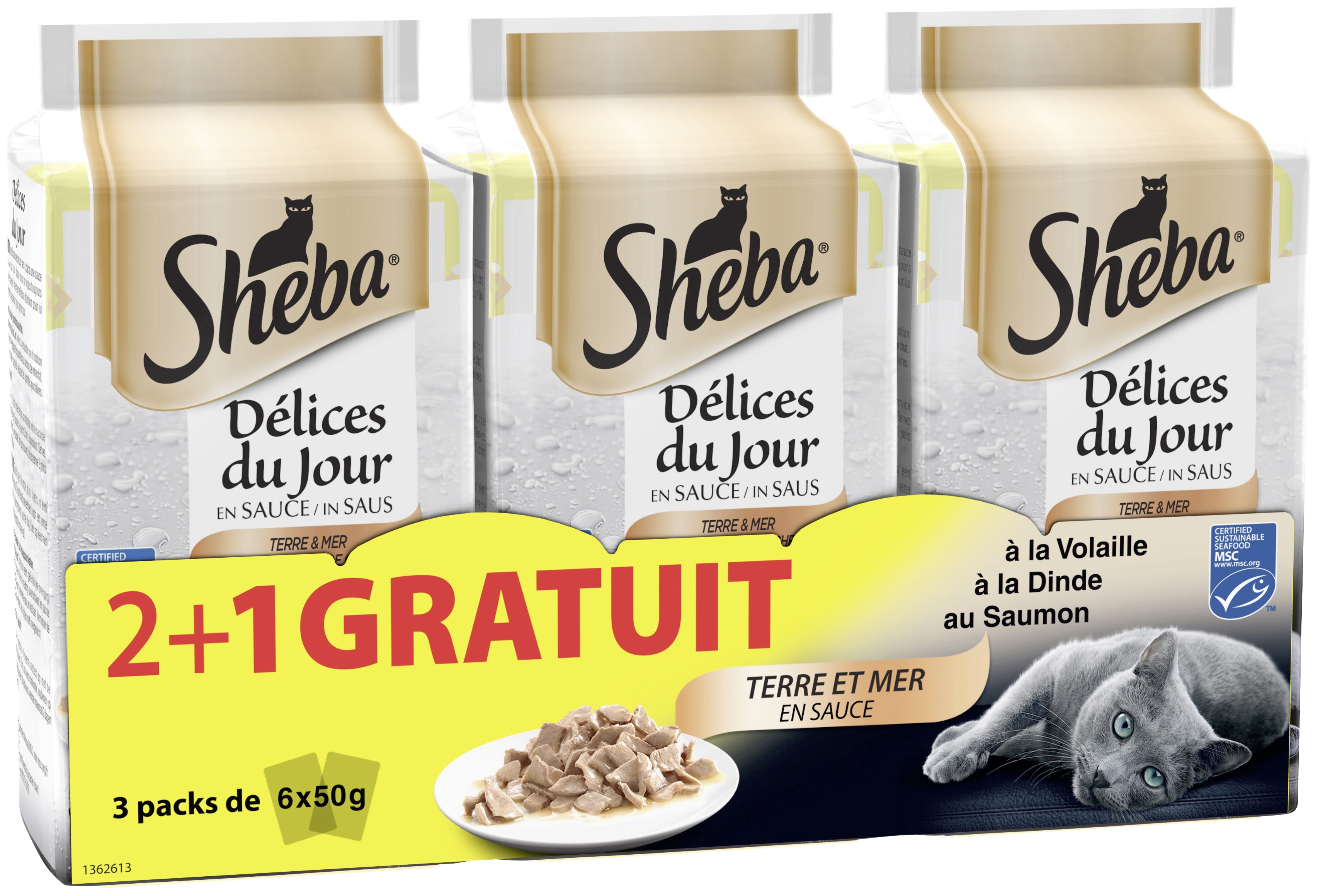 Délices du jour terre et mer en sauce volaille ...