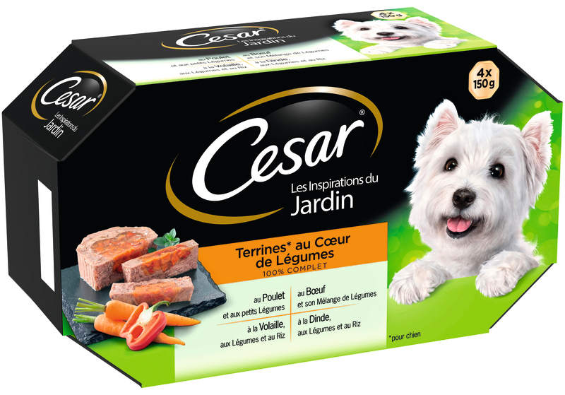 BARQUETTES CHIEN COEUR DE LÉGUMES César