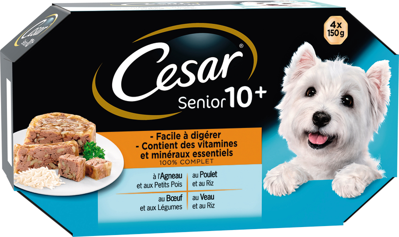 BARQUETTES GELÉE CHIEN SENIOR 4 VARIÉTÉS César