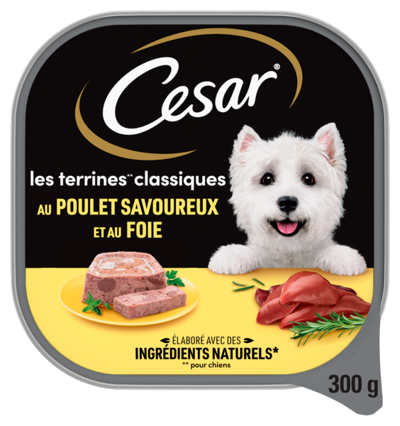 LES TERRINES CLASSIQUES  AU POULET ET AU FOIE P...
