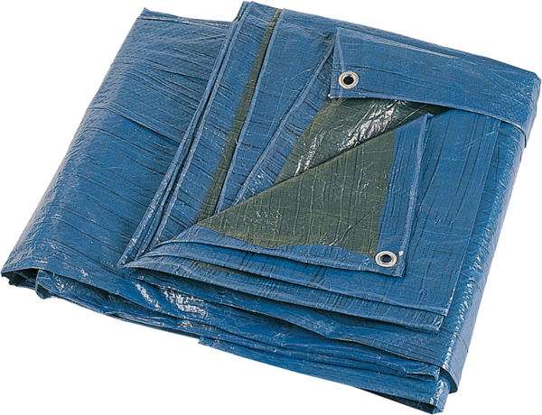  *BACHE PLASTIQUE BLEUE 3X5 M  code EAN 3069319620160 