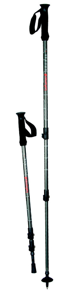 PAIRE DE BÂTONS DE RANDONNÉE 